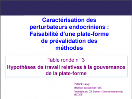Couv - Table ronde n° 3 - hypothèse de travail relatives à la gouvernance de la plate - forme.PNG