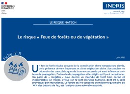 feux.png