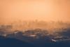AdobeStock_165878741_0.jpeg