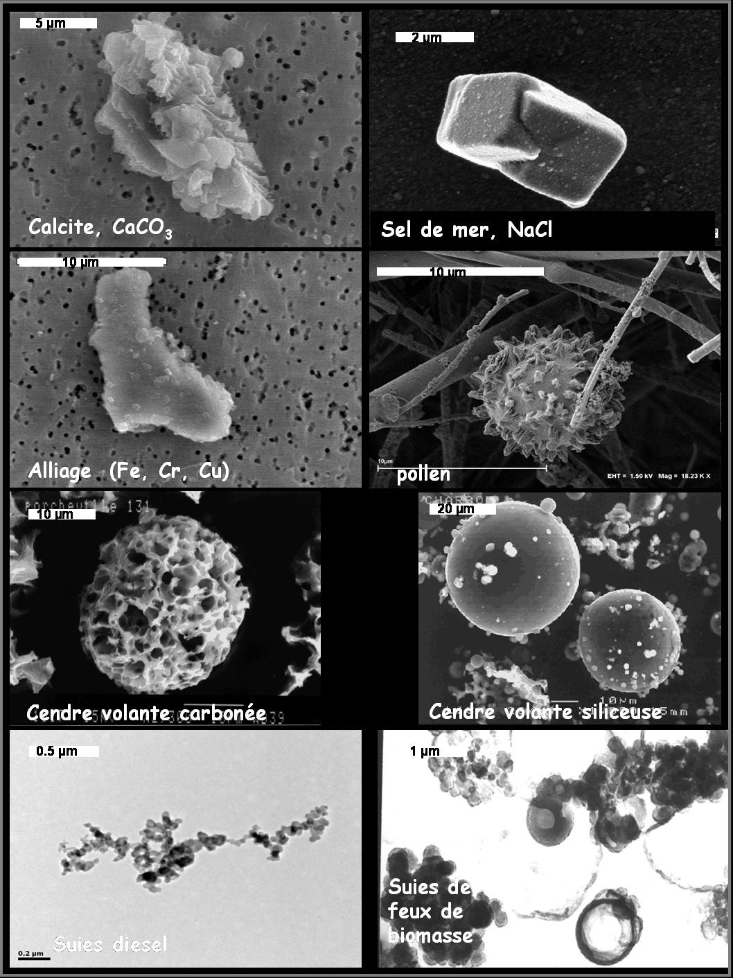 particule.jpg