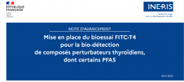 bioessais.png