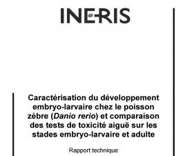 poisson-zebre.jpg