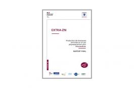 production-de-biomasses-enrichies-en-zn-par-phyto-extraction-pour-l-eco-catalyse.jpg