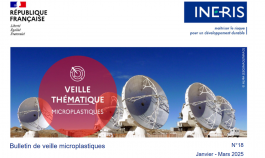 veille_1.png
