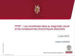 Les incertitudes liées au diagnostic visuel et les conséquences économiques associées.PNG