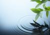 Fotolia_7303378_XS_0.jpg